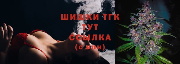 дживик Богородицк