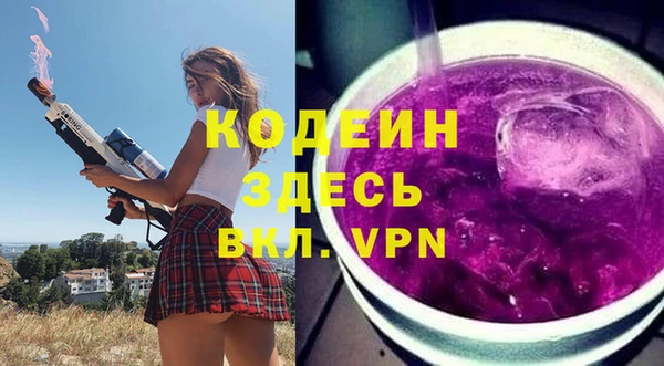 дживик Богородицк