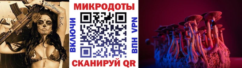 Псилоцибиновые грибы мухоморы  MEGA как войти  Приволжский 
